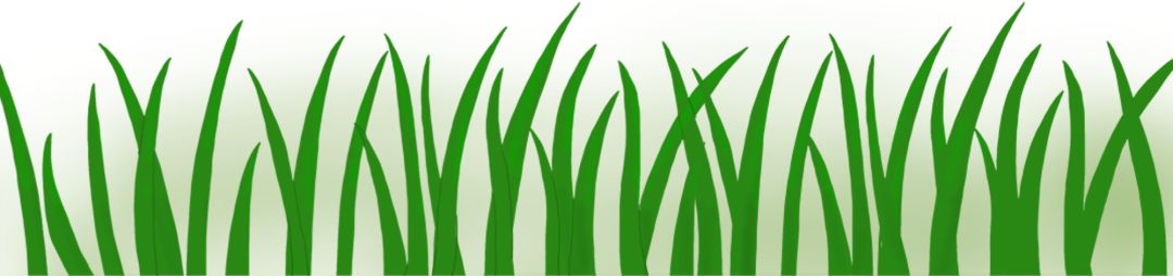 青佑之光志愿,三下乡服务志愿者活动怎么报名