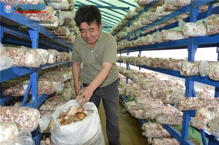 桂字号特色产品宣传语,桂字号产品