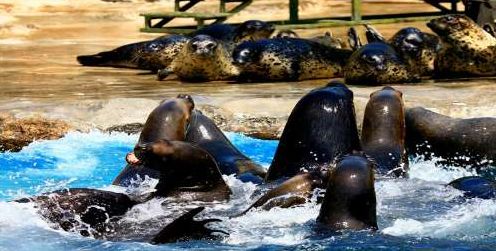 大连五一小长假游玩地推荐,五一旅游热门地方大连