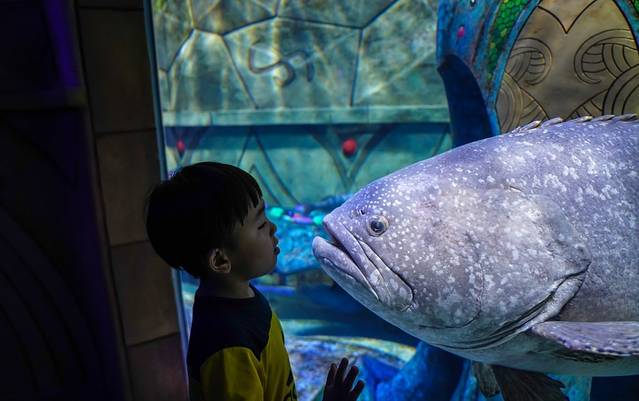 三亚旅游攻略三亚亲子游玩,暑假带孩子自驾三亚攻略