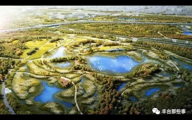 丰台家门口开【大集】！300余厂家直销进丰台，吃喝用全都有！