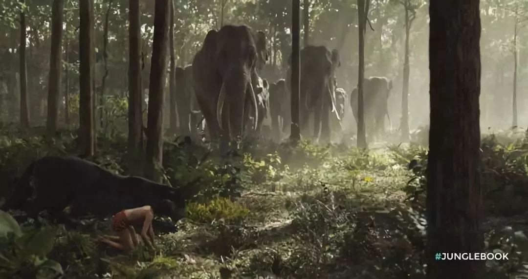 止痒消肿蚊虫膏泰国,泰国防蚊子药膏