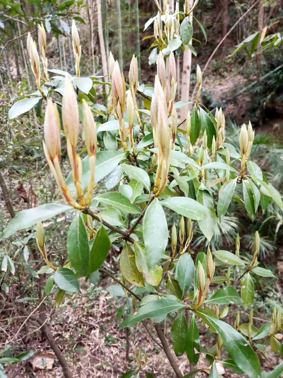 拒绝人从众模式,拒绝人从众的意思