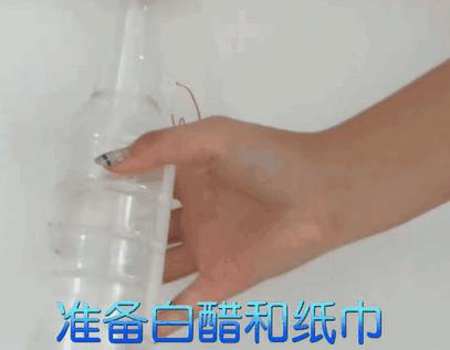 家里墙壁发霉怎么快速去除,墙壁发霉有很多小虫子怎么去除