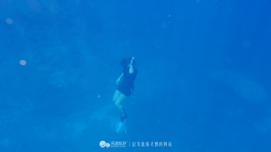 人间仙境马尔代夫旅游攻略,马尔代夫香格里拉岛