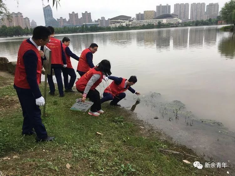 你好!我是新余“河小青”!