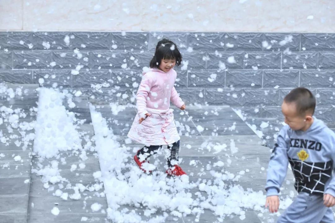 又到了每年的飞絮季节,又到了一年一度的飞絮季