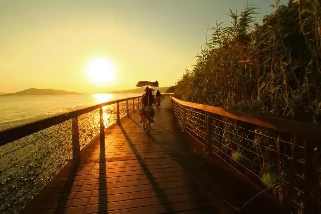 团购宁波柏悦酒店,铂悦优惠