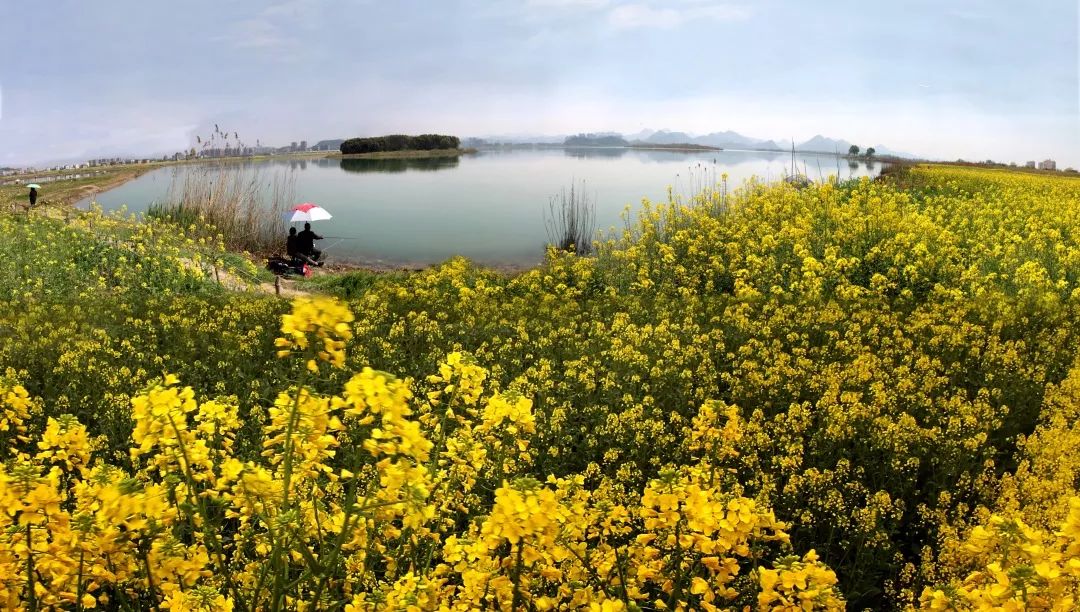 余杭东湖绿道图,余杭之江绿道