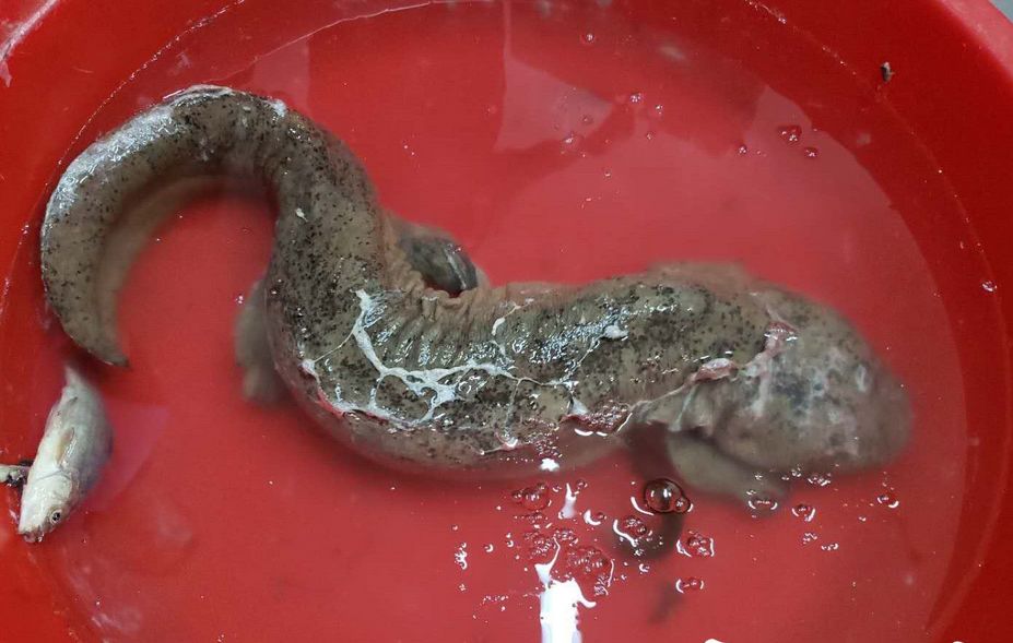 绿联播|“五一”市属公园接客超百万，这家公园人气最旺