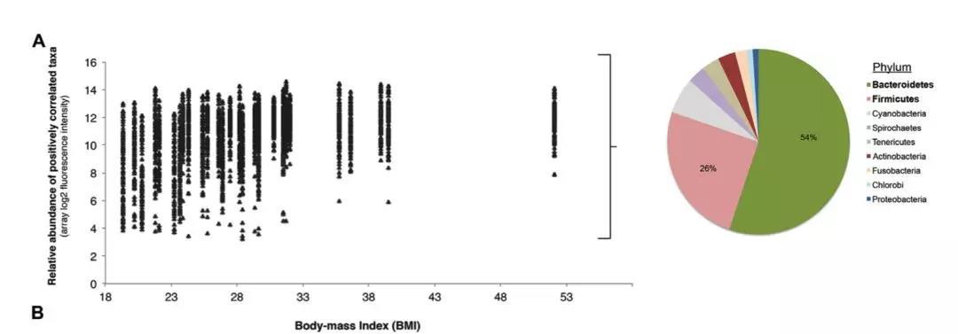 世界防治哮喘日关爱每位哮喘患儿,世界上儿童哮喘发病率