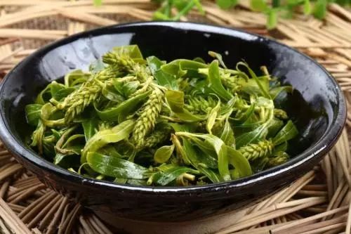 最近过半中国人都在噗噗噗呸呸，一开门，心里飘过一万头羊驼…