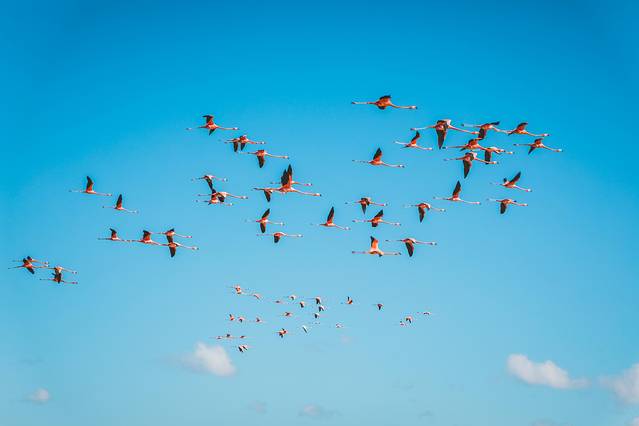 开着老爷车追着日落,古巴旅行全记