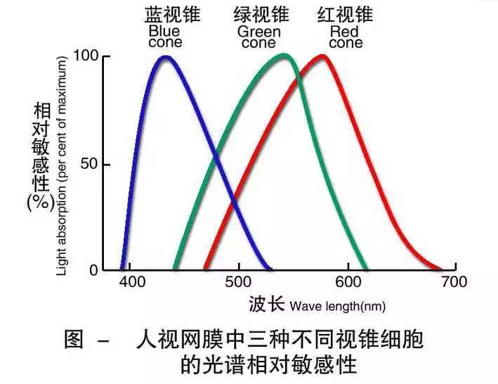 粉白还是灰绿鞋子原图,有争议的鞋子灰绿