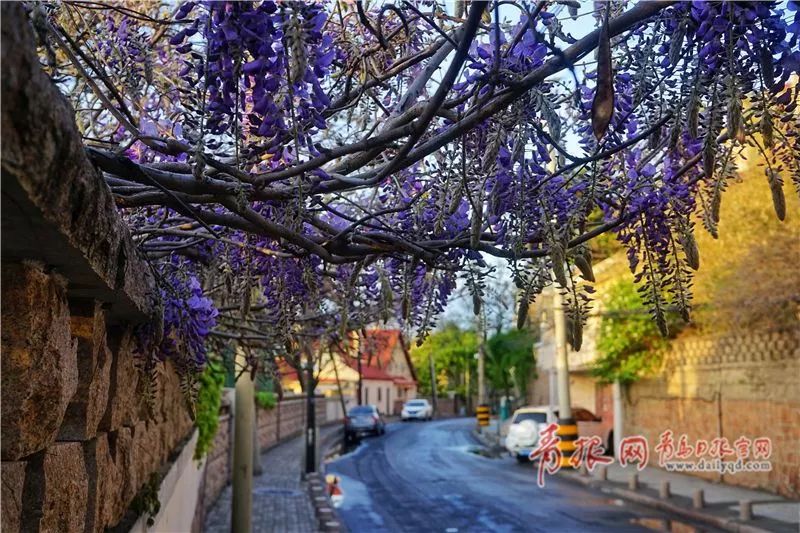 闈掑矝缁濈編鐎戝竷,闈掑矝绱壊鐎戝竷