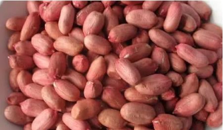 胃病的“特效药”找到了，不要舍不得吃，胃病口臭或“不药自愈”