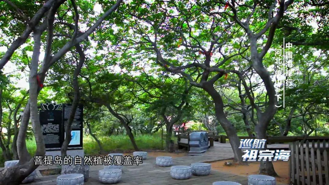 我想去唐山三岛曹妃甸港看看感受下百年“评”韵绽芳华