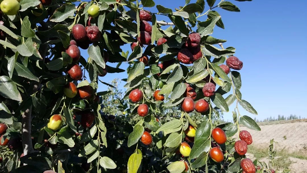 我的扶贫故事题目,我的扶贫故事微视频