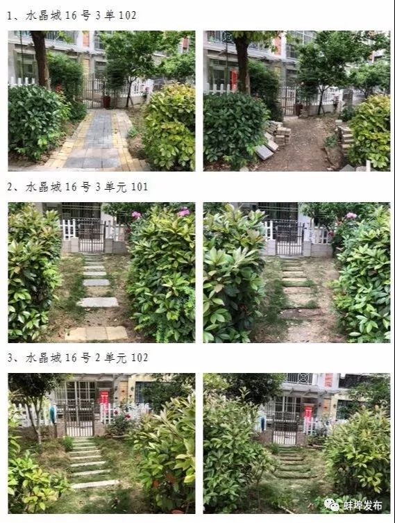 城市绿化整治项目清单,整治绿化景观的方法