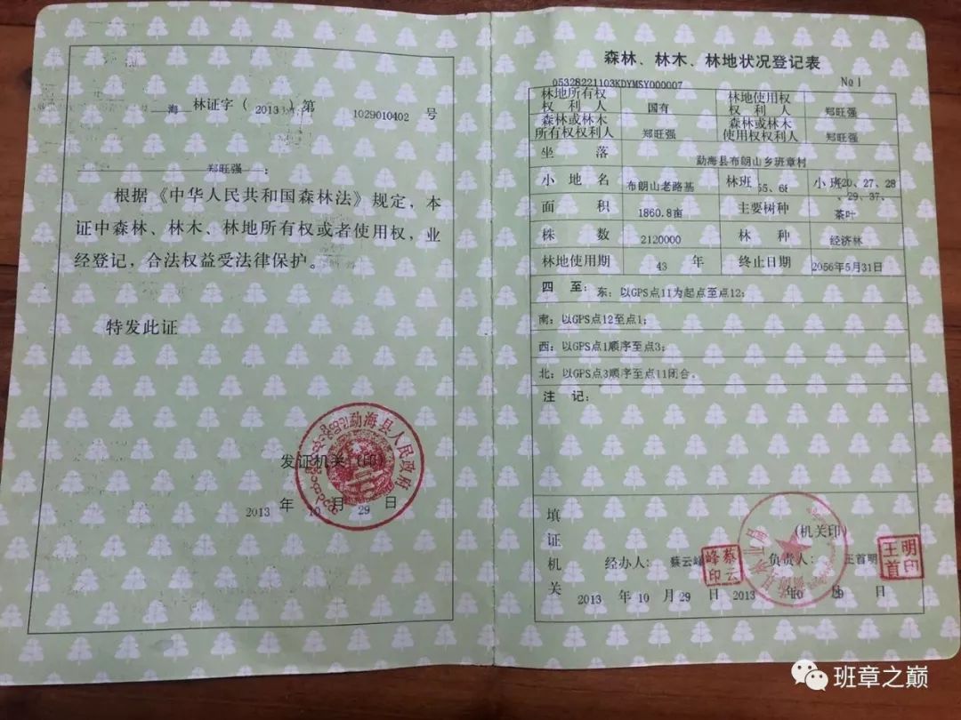 品一杯香茗赏千古美文,品一杯香茗感受诗和远方