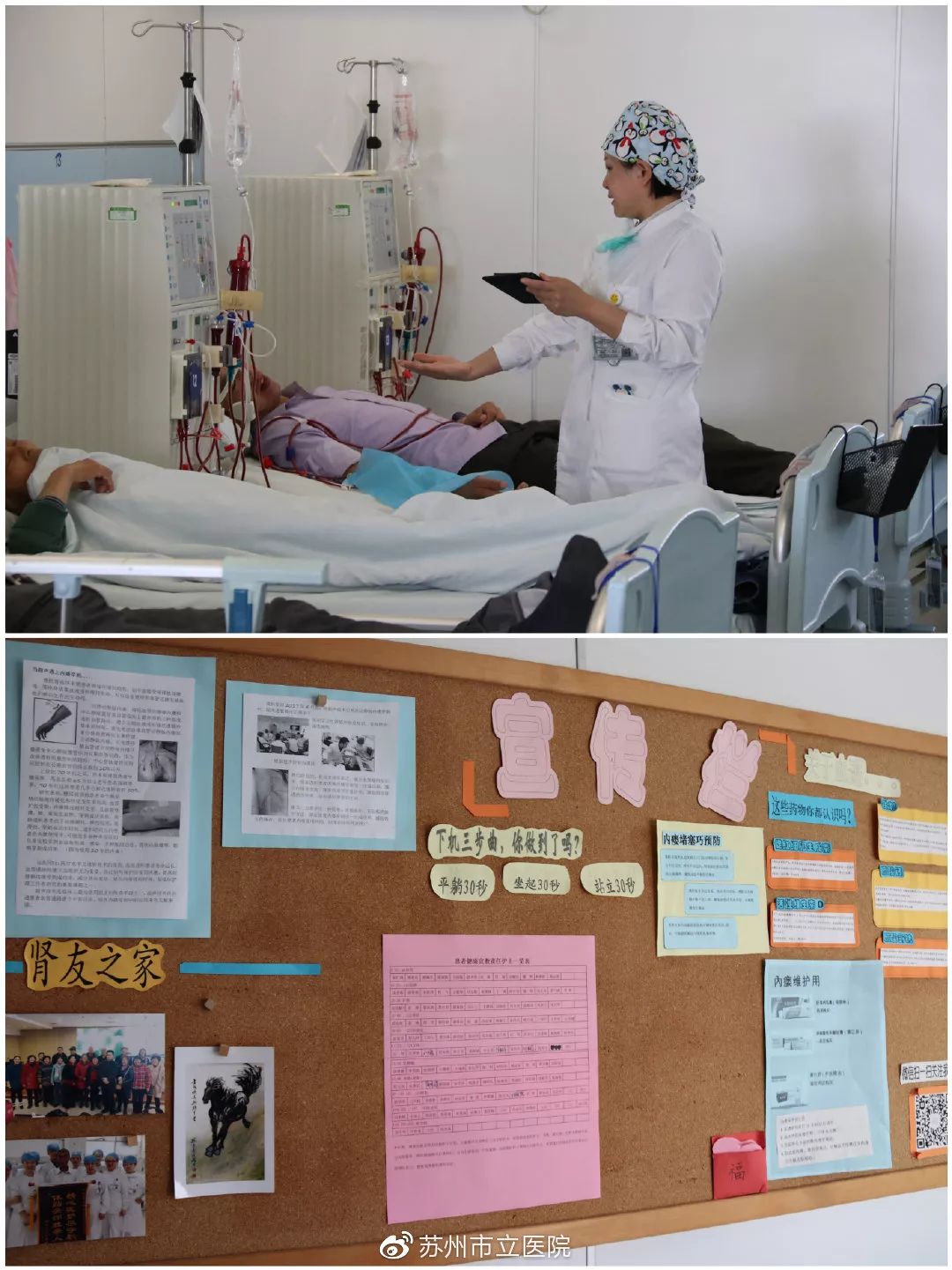 栽下梧桐树只为引来你|苏州市立医院心血管内科、肾内科公开招聘啦！