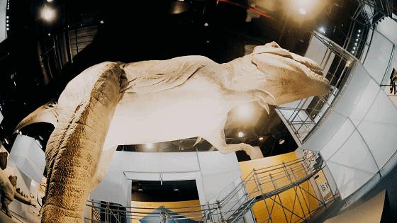 新店开业10w人围观,开业典礼1万人围观