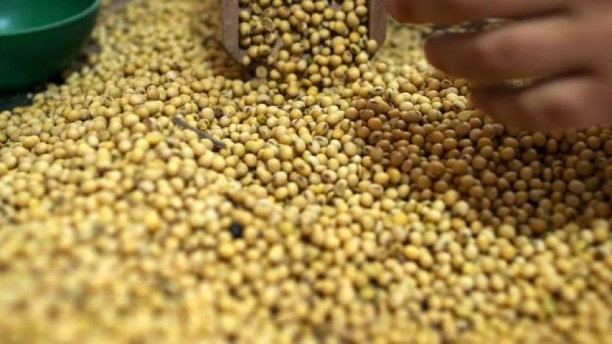 在乡土中国里拼出奇迹