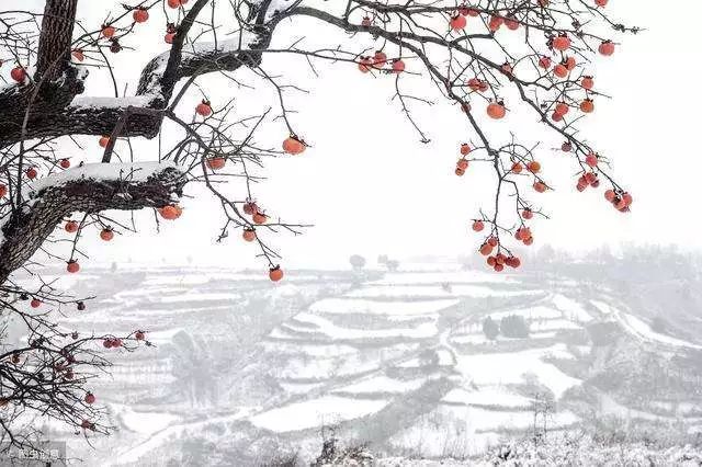 35个源于诗词的成语,40个出自古诗的成语