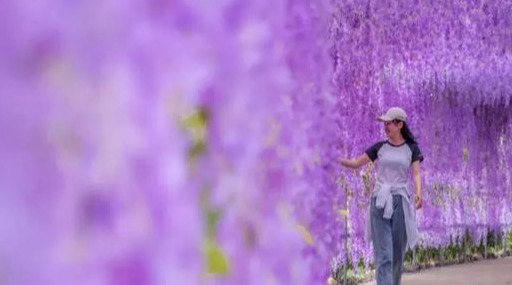 信阳值得去的景点推荐一下,信阳南湾湖能游吗