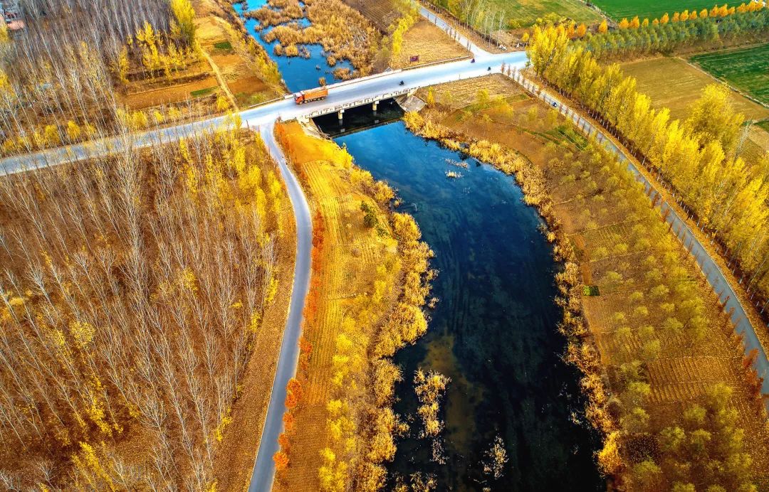 你为什么留在薛城？这是我听过的最好的理由！