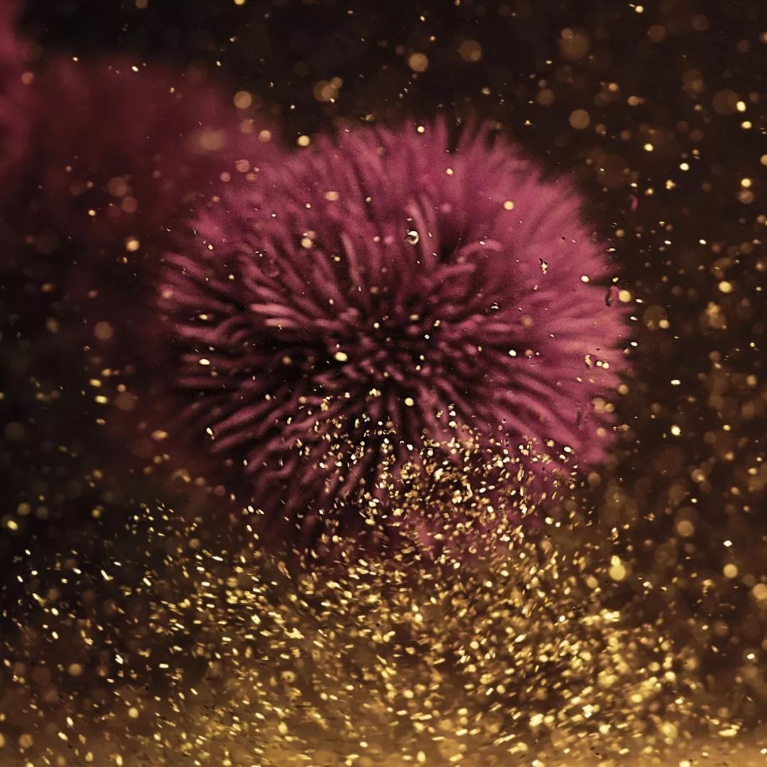 Top10|突袭妈妈们的化妆台，我居然被种草了！