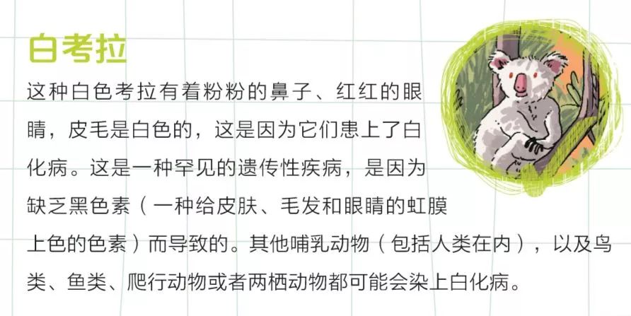 哈佛思维课全集书籍,2-3岁儿童全脑思维拓展训练书