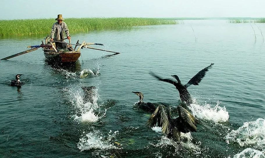 一起走吧粤语歌曲,一起走吧背起行囊