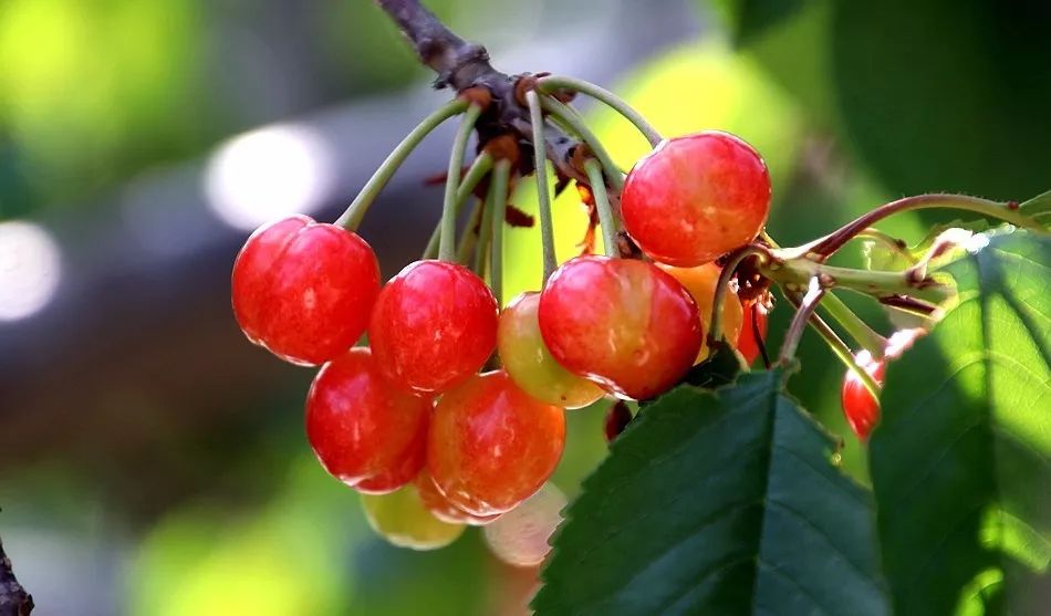 澶╂按绉﹀窞澶фū妗冪孩閫忓崐杈瑰ぉ,鐢樿們澶╂按绉﹀窞寰愬灞卞ぇ妯辨