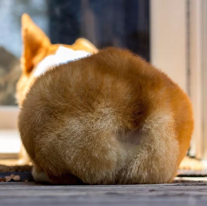 朋友圈设成三天可见代表着什么,有时候把朋友圈设成三天可见