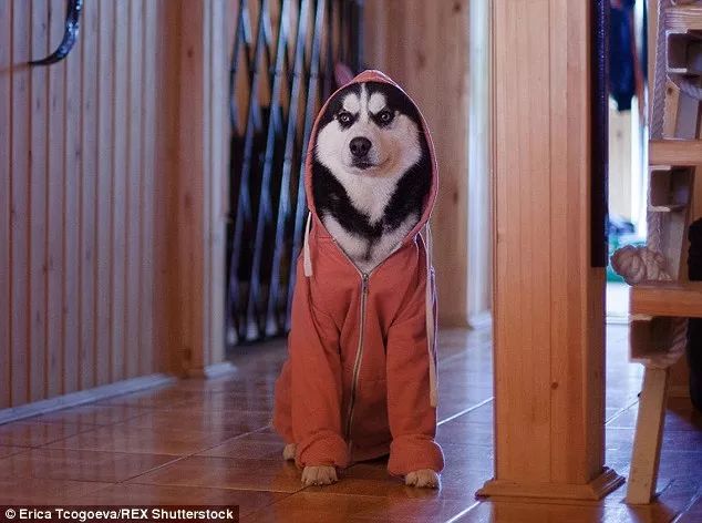 把我设置成不可见了是什么心态,为什么有人把朋友圈设成三天可见