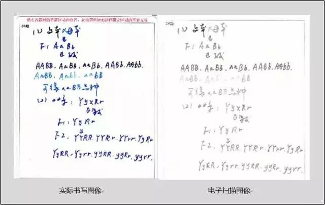 高考必看100个技巧,高考各科提分攻略