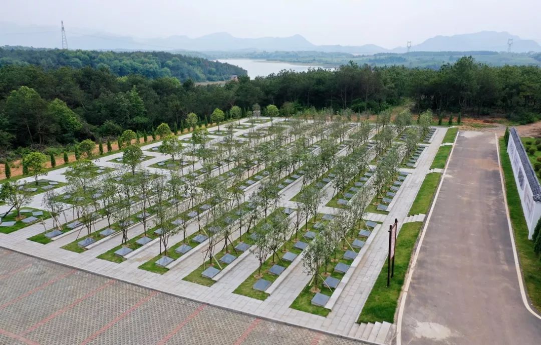 绿色殡葬初显成效,江西绿色殡葬改革文件