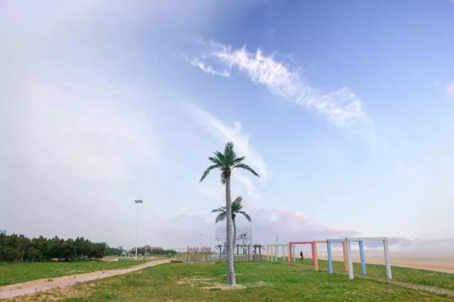 向海而生渐行渐远,向海而生原版