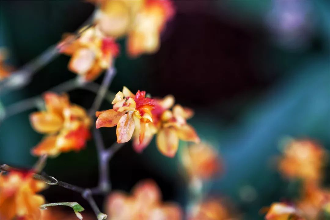 上海最高楼云端上的风景,在上海最高的楼俯瞰风景