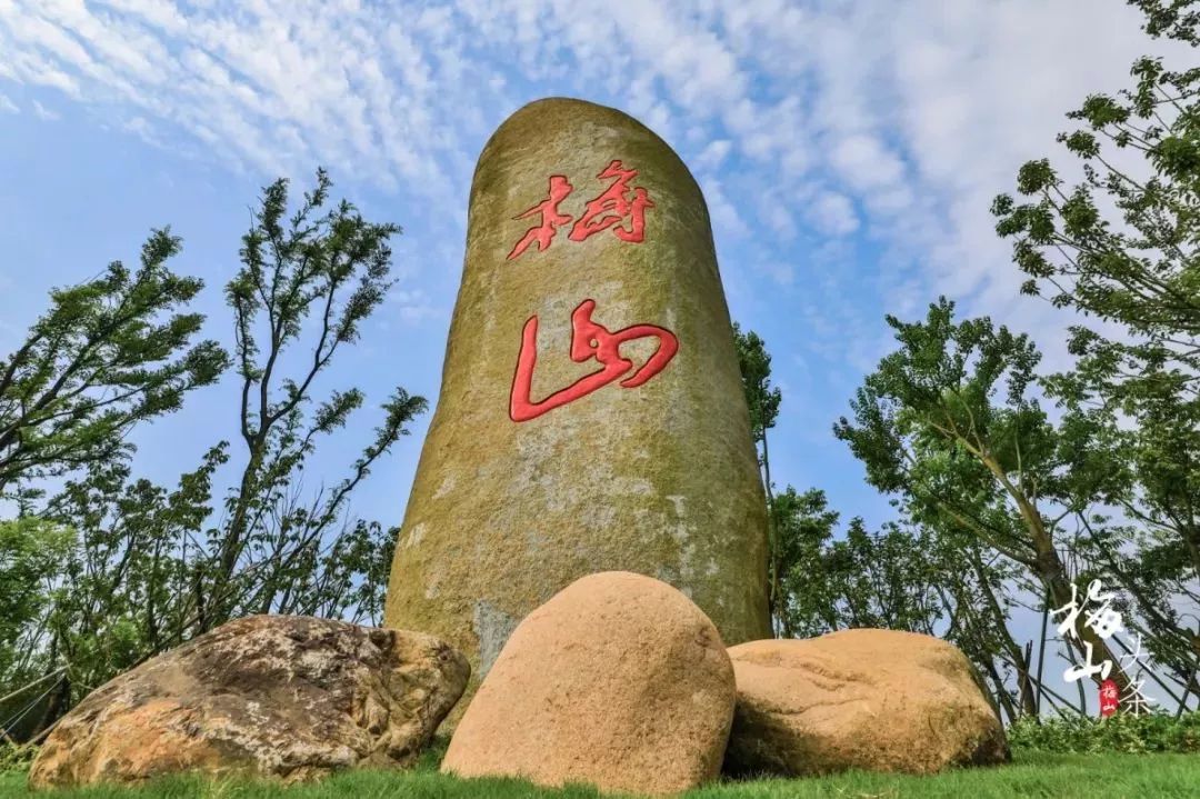 市区出发1h藏着一个“绿岛”？赛车、帆船、直升机…梅山原来如此洋气！