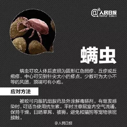 警惕这小虫，六安已有人因它致死！当下高发期！