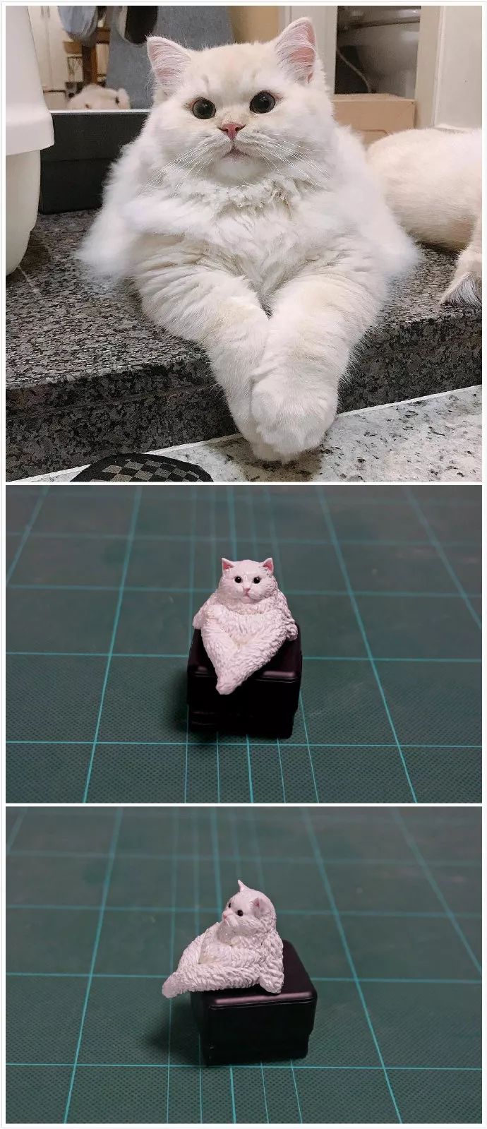 日本“手工鬼才”捏的小动物模型，比表情包还沙雕