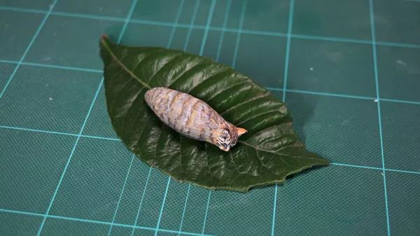 日本“手工鬼才”捏的小动物模型，比表情包还沙雕