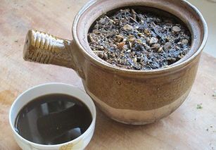 中药制药基础知识,新手学习药品的知识点