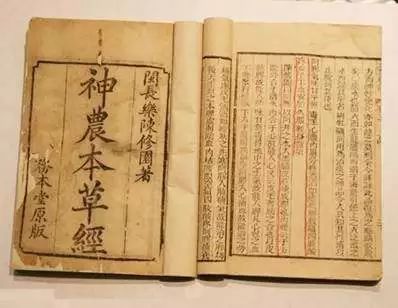 专治脚气的神奇药,十多年的脚气三味中药一招搞定