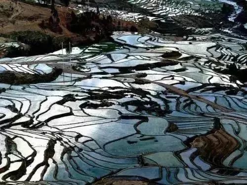 被遗留在丽江一块名为他留梯田的翡翠