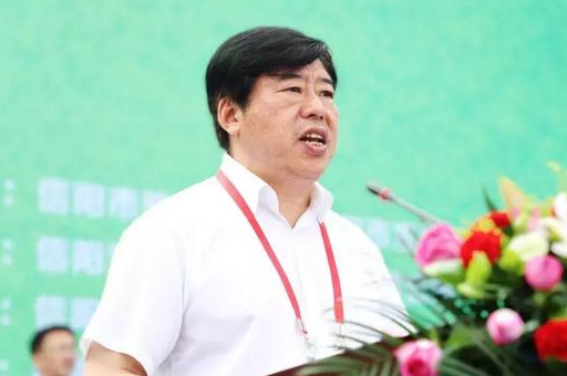 信阳市市长杯2024足球赛开幕式,信阳市第六届校园足球比赛