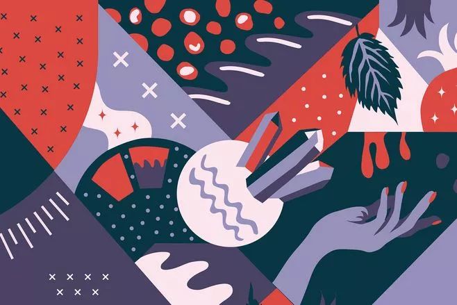 【封面】开宠物店暴利？全案解析宠物洗护美容、食品用品、寄养售卖…揭秘宠物经济令人费解的低收入真相