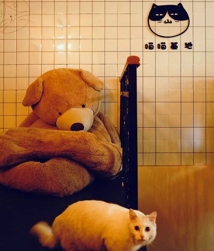 【封面】开宠物店暴利？全案解析宠物洗护美容、食品用品、寄养售卖…揭秘宠物经济令人费解的低收入真相